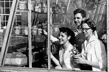 Caring for plants in the greenhouse on the roof of Shaker Heights High, 1956