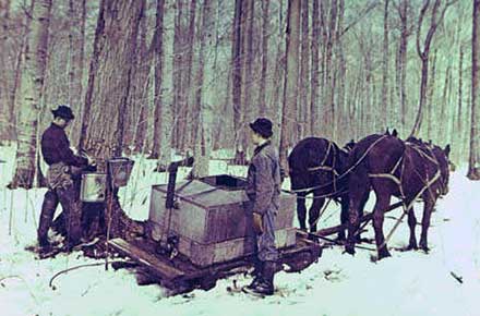 Maple sugaring, Chardon, 1976